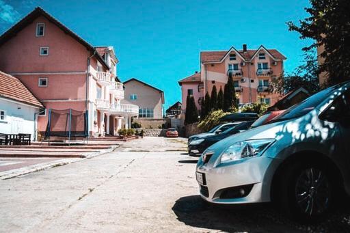 Pensiunea Ana Baile Felix Bagian luar foto